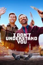 I Don't Understand You (2025)